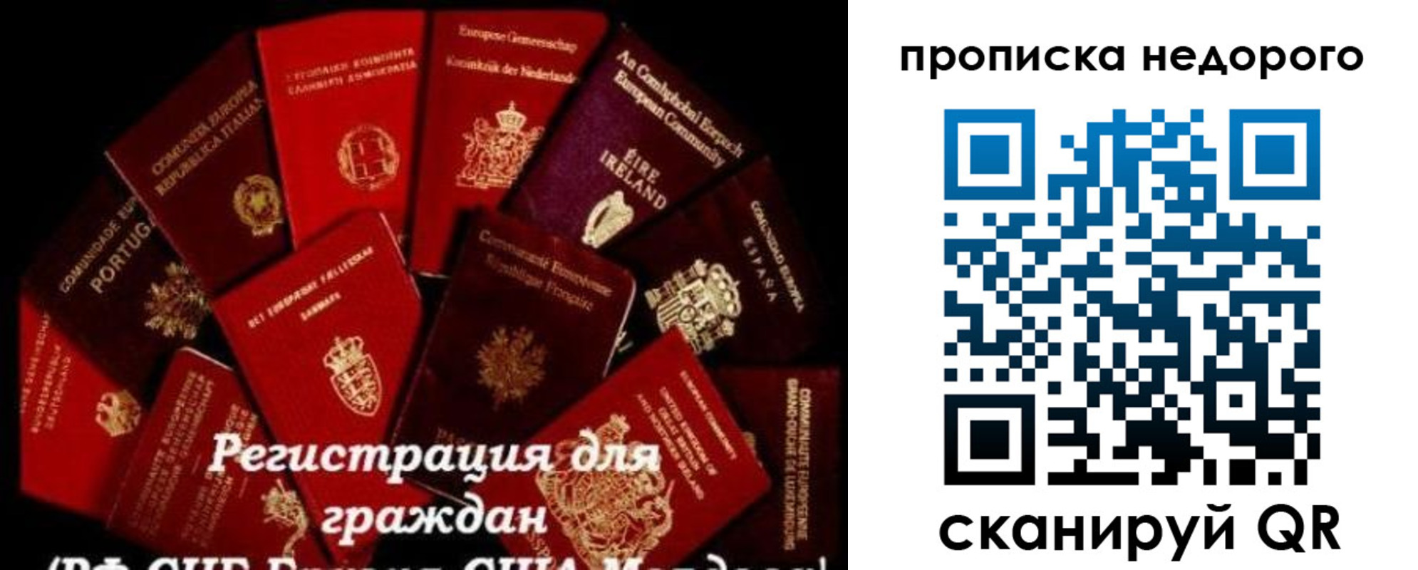 временная регистрация недорого в Курчатове